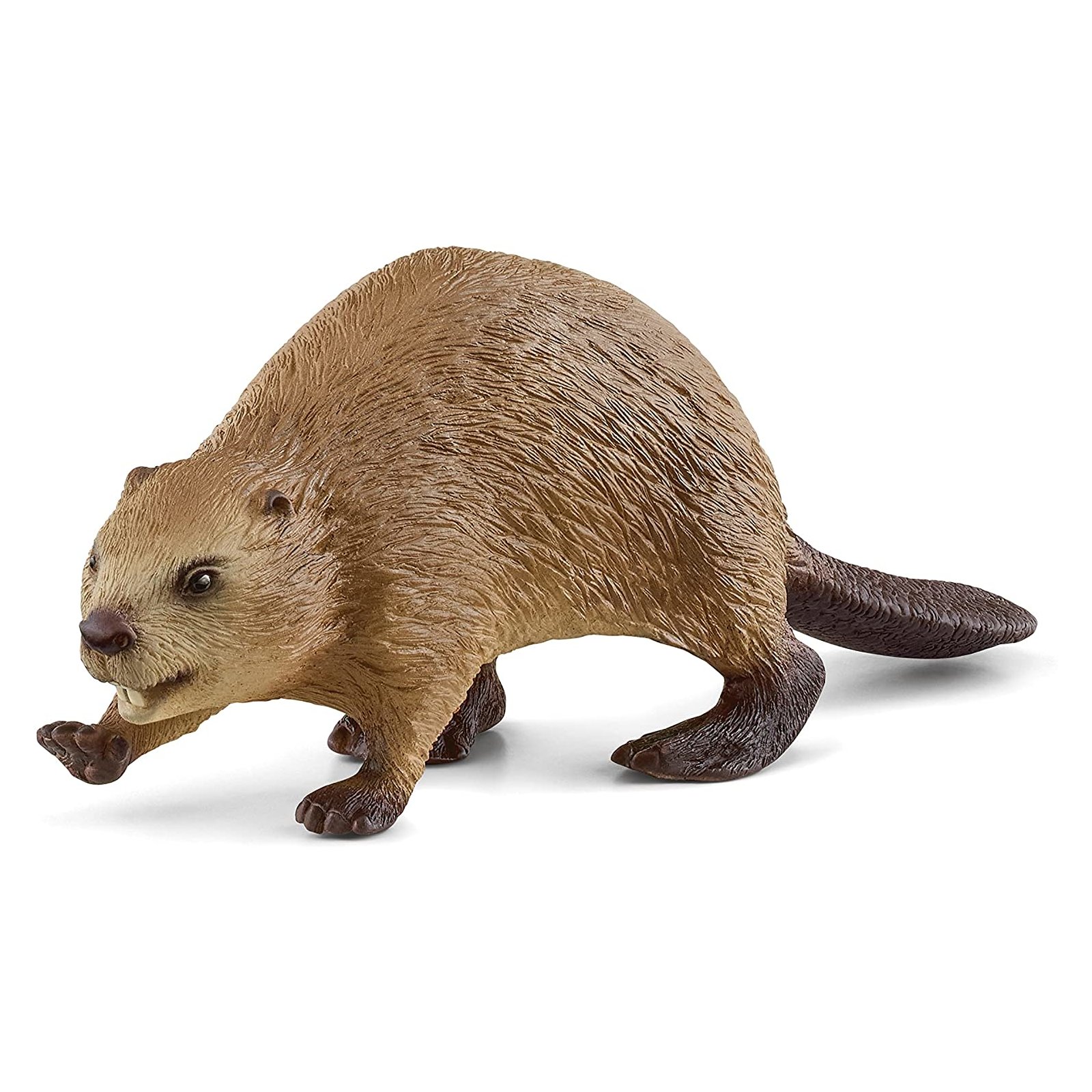 Schleich - Wild Life - 14855 Biber