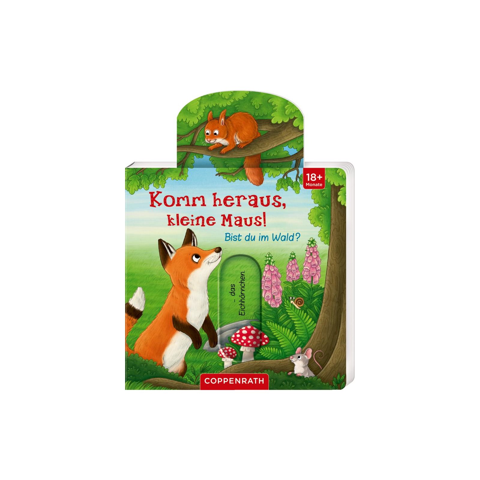 Coppenrath - Komm heraus, kleine Maus! Bist du im Wald?