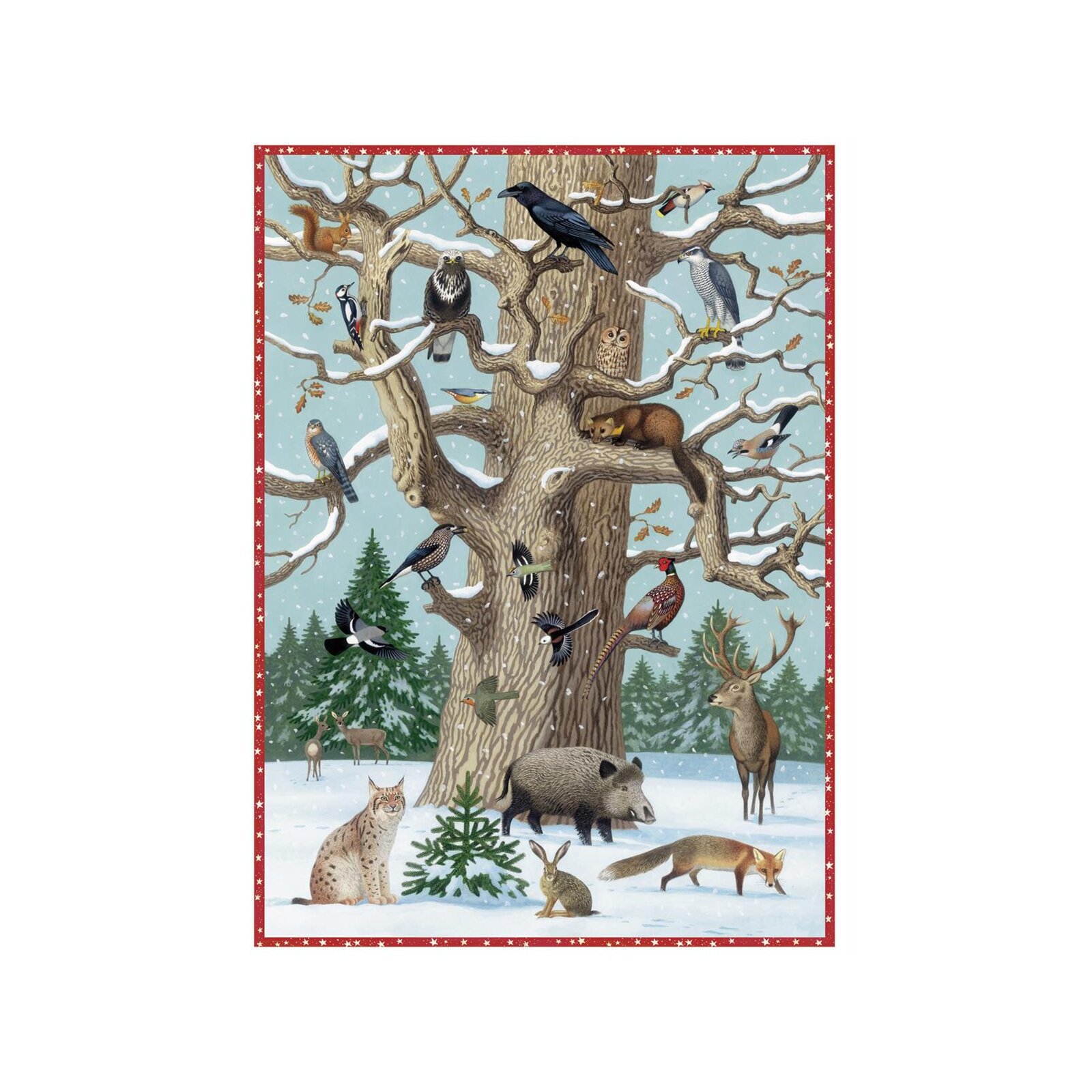Coppenrath - Adventskalender - Tiere im Winter (A)