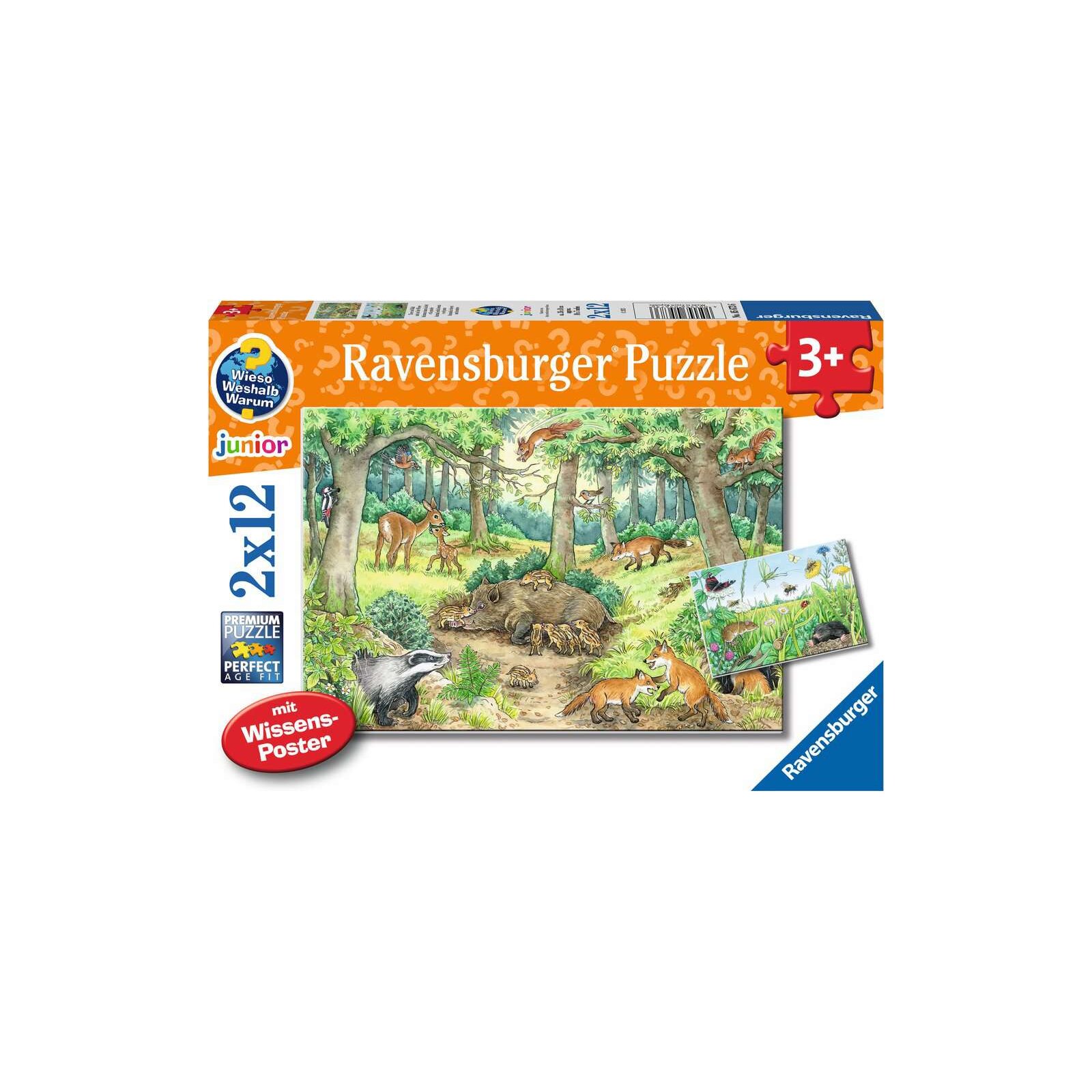 Ravensburger - Puzzle - 2 x 12 Teile - ab 3 Jahre - Wieso? Weshalb? Warum? Tiere im Wald und auf der Wiese(A)