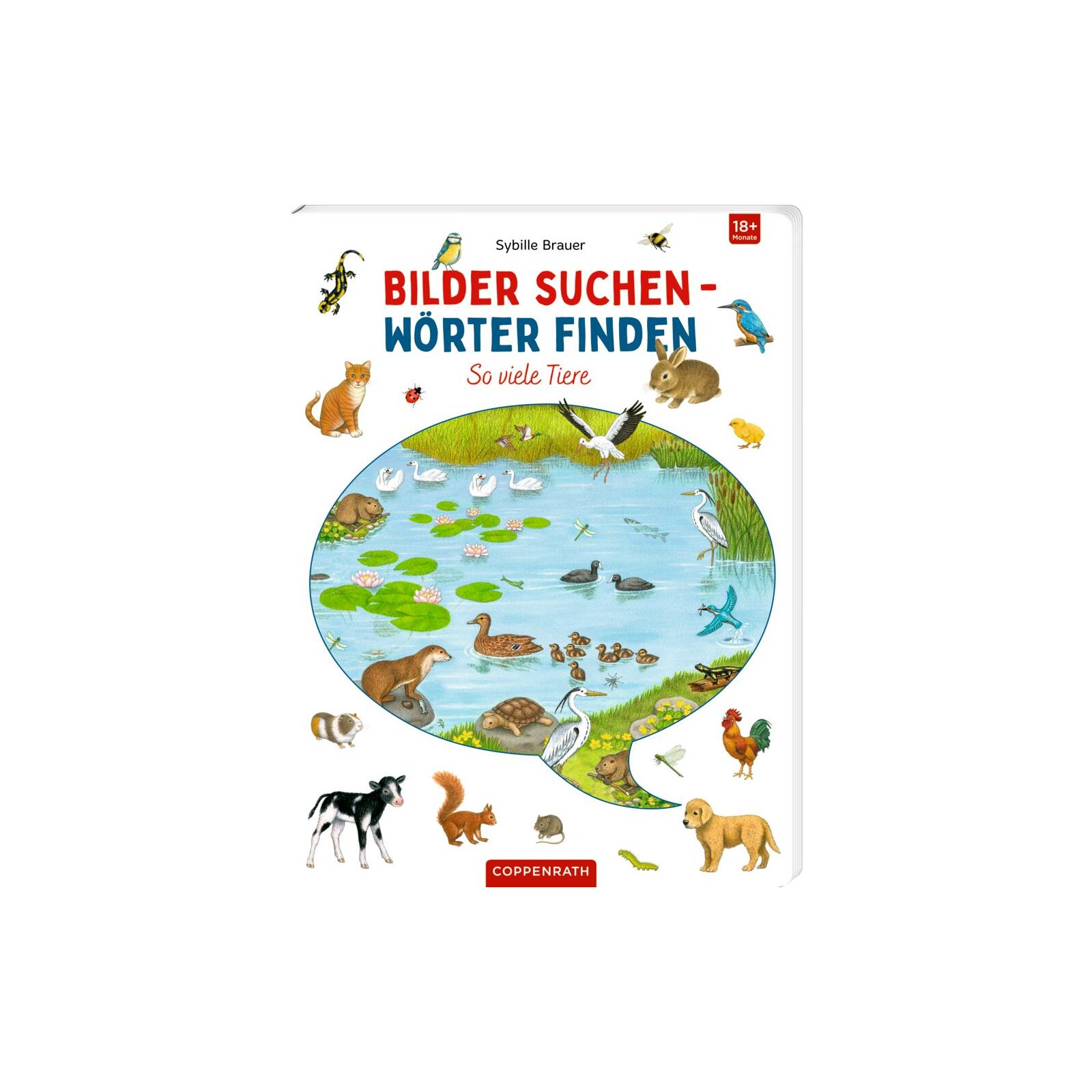 Coppenrath - Bilder suchen - Wörter finden: So viele Tiere