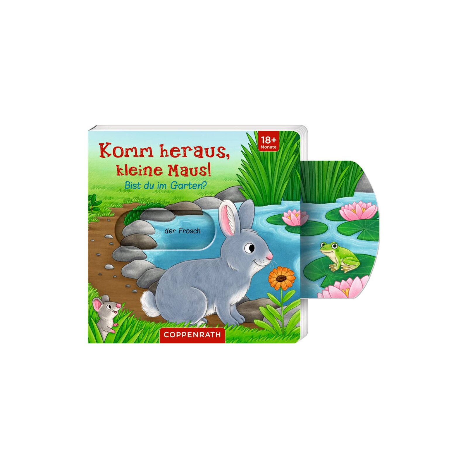 Coppenrath - Komm heraus, kleine Maus!: Bist du im Garten?