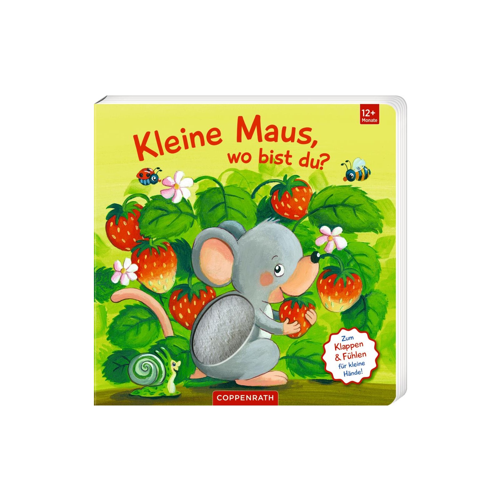 Coppenrath - Mein 1. Guckloch-Fühlbuch: Kl.Maus, wo bist du? (Fühl.&beg.)