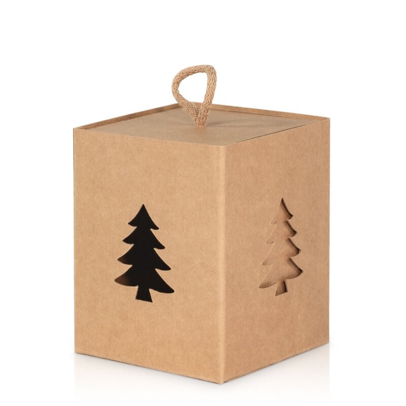 25 x Geschenkbox 'Natura Pur Tannenbaum' mit Tragekordel 100x100x120mm
