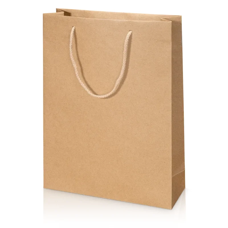 20 x Geschenktüte 270 x 85 x 360 mm (natur)