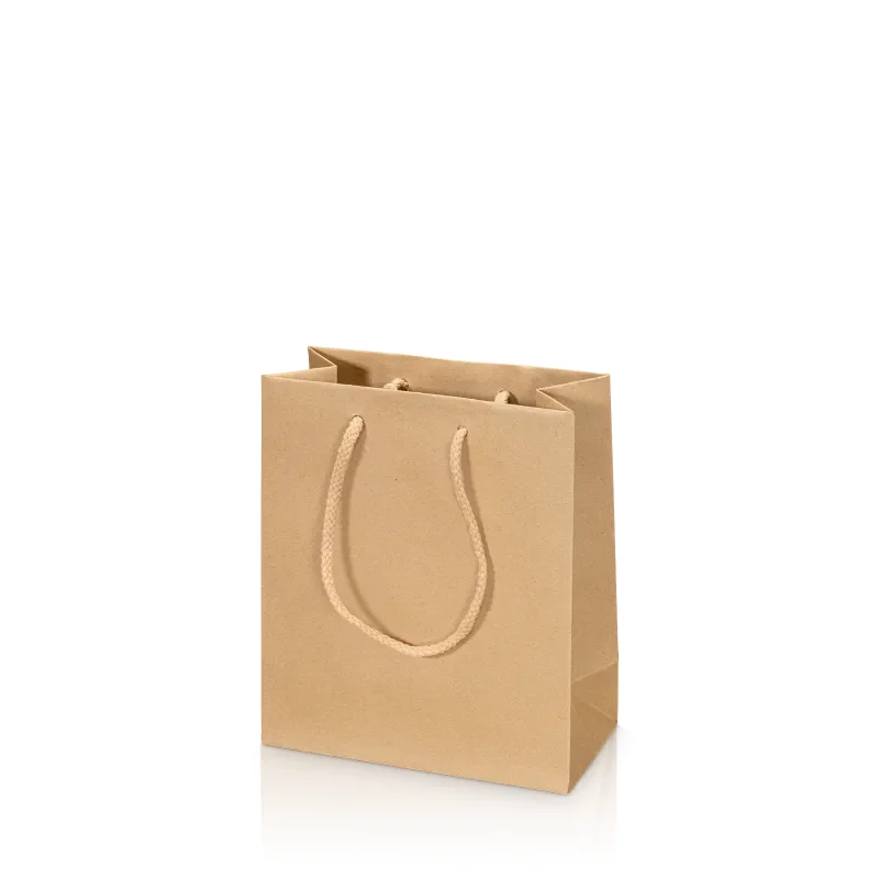 20 x Tragetasche 'Natura Pur' -S-, Kraftpapier (vormals BB)