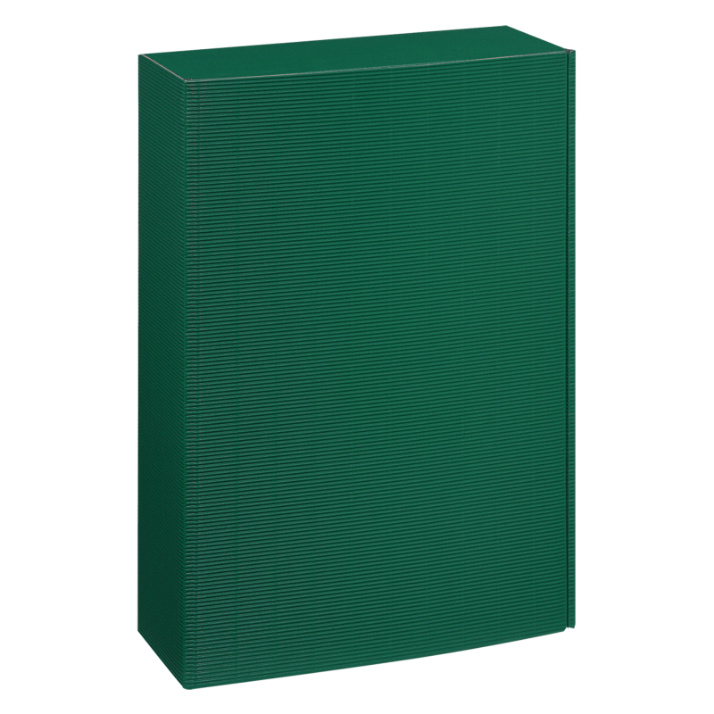 25 x Präsentkarton für 3 Flaschen 360 x 250 x 95 mm (grün)