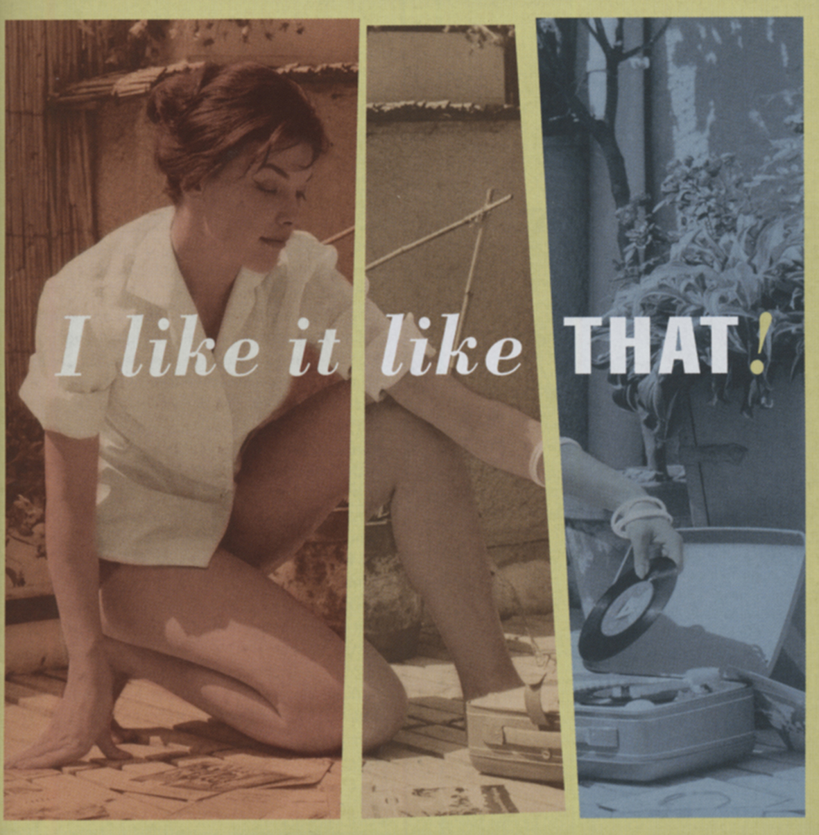 Various Artists - I Like It Like That!