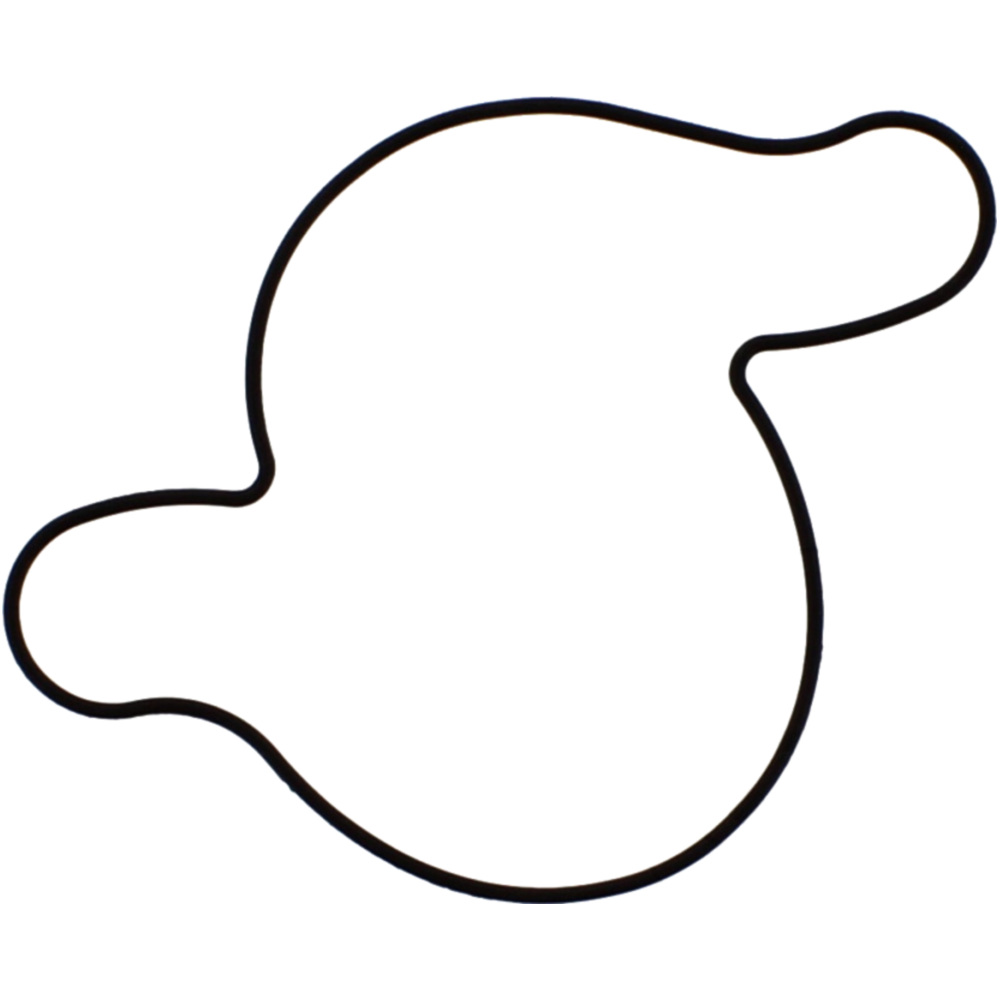 Tourmax wpg-301 dichtung wasserpumpen o-ring