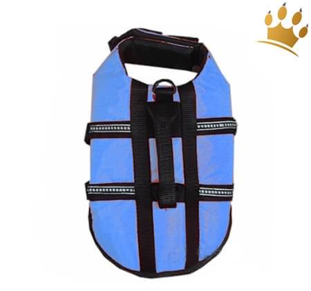 Hundeschwimmweste Easy Safe Blau