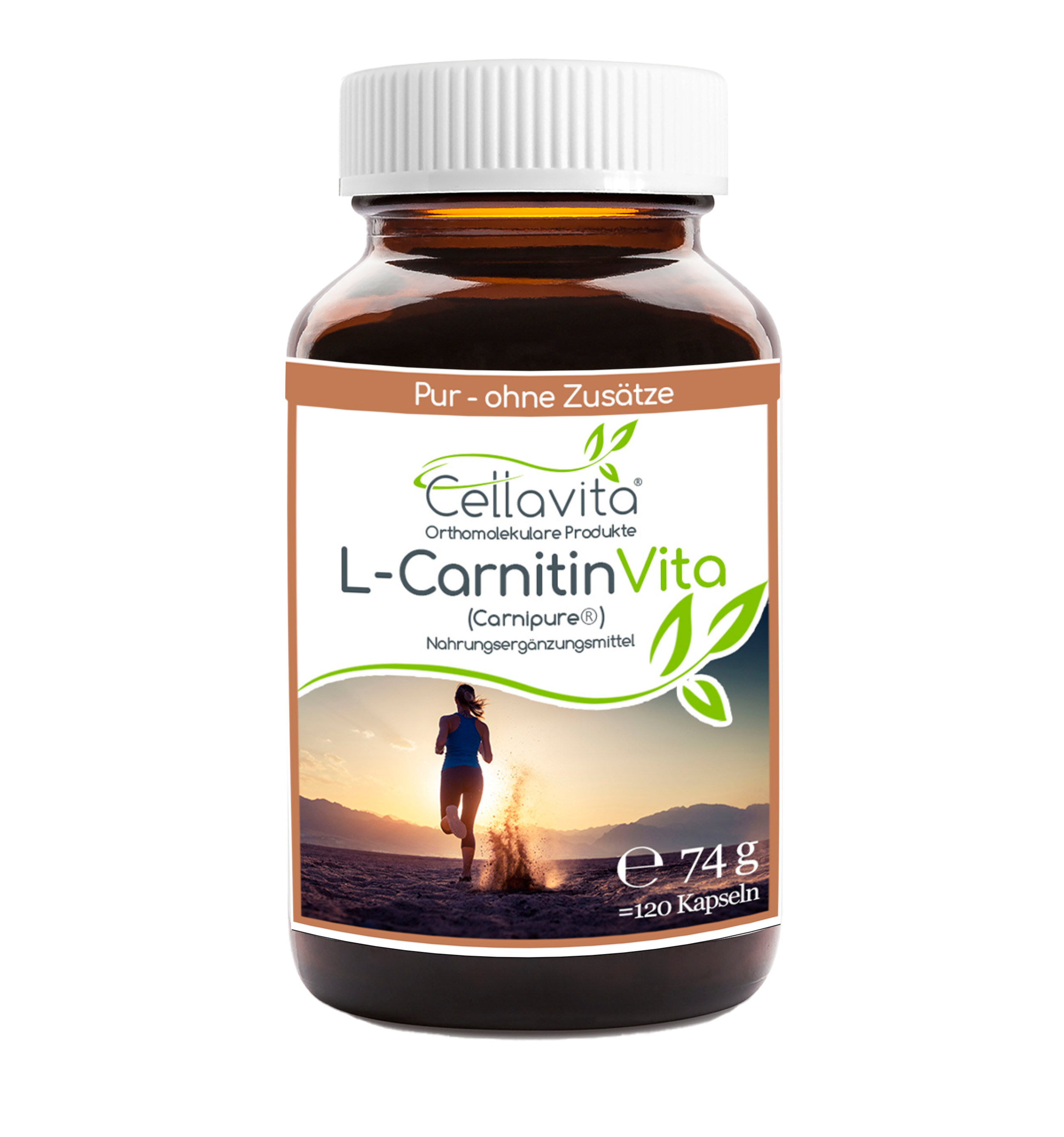 L-Carnitin Vita Kapseln