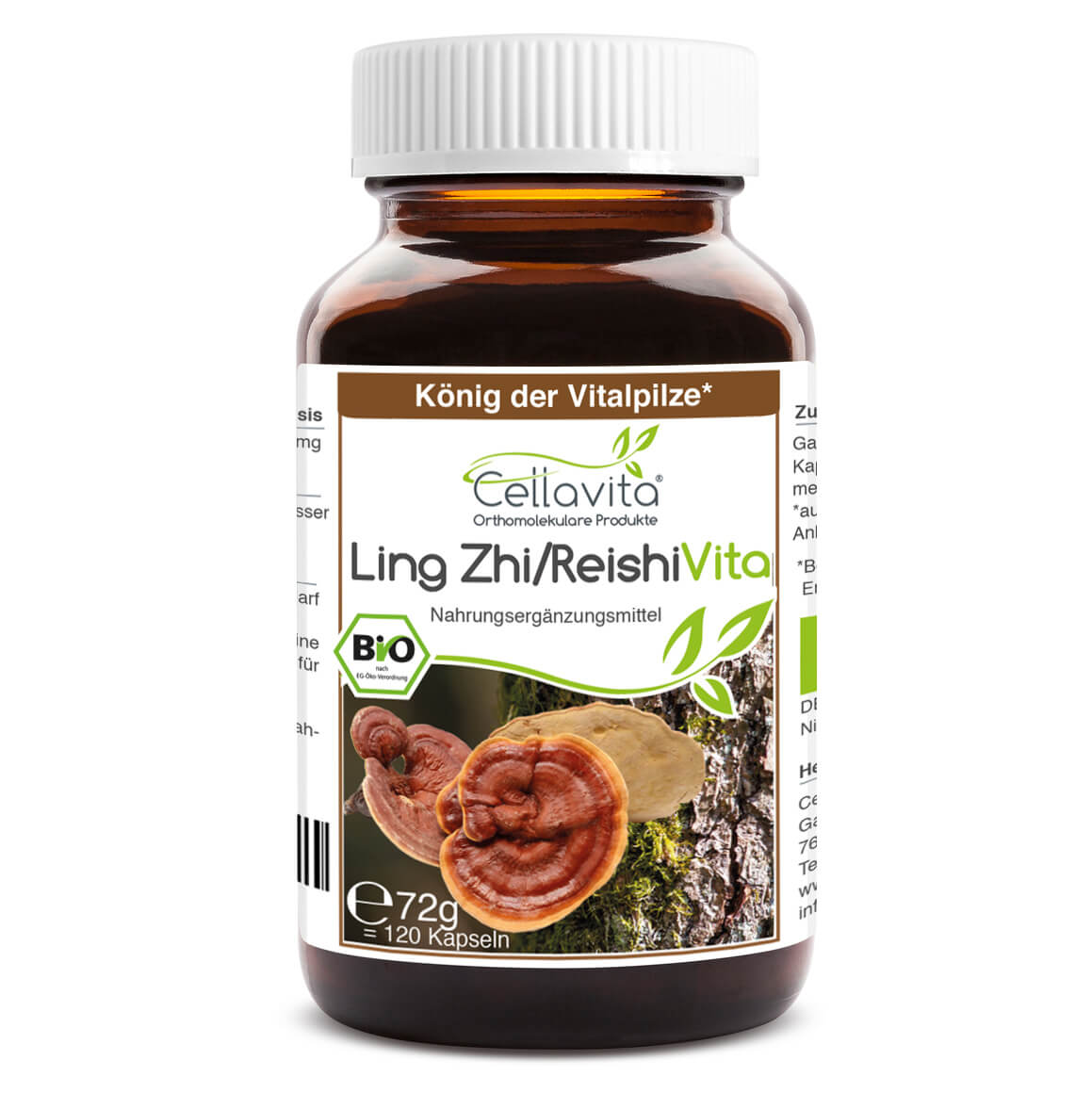 Bio-Ling Zhi / Reishi Vita "Glänzender Lackporling" Kapseln