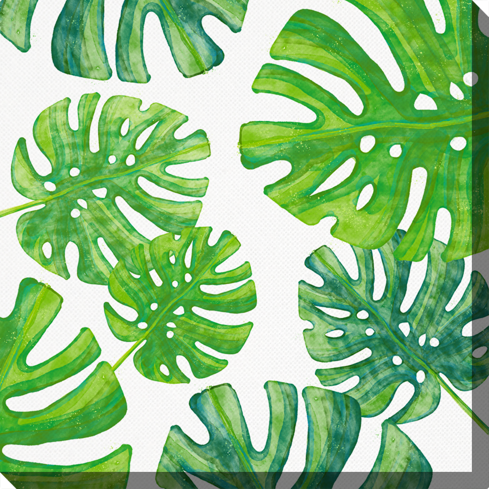 Fotoleinwand Tropenblätter