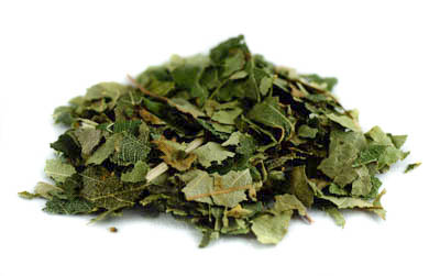 Birkenbl?tter Wildsammlung BIO, geschnitten 1kg