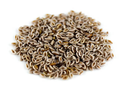 Flohsamen indisch gelb ganz BIO, 100g