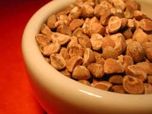 Holzrose 'Woodrose', 5g