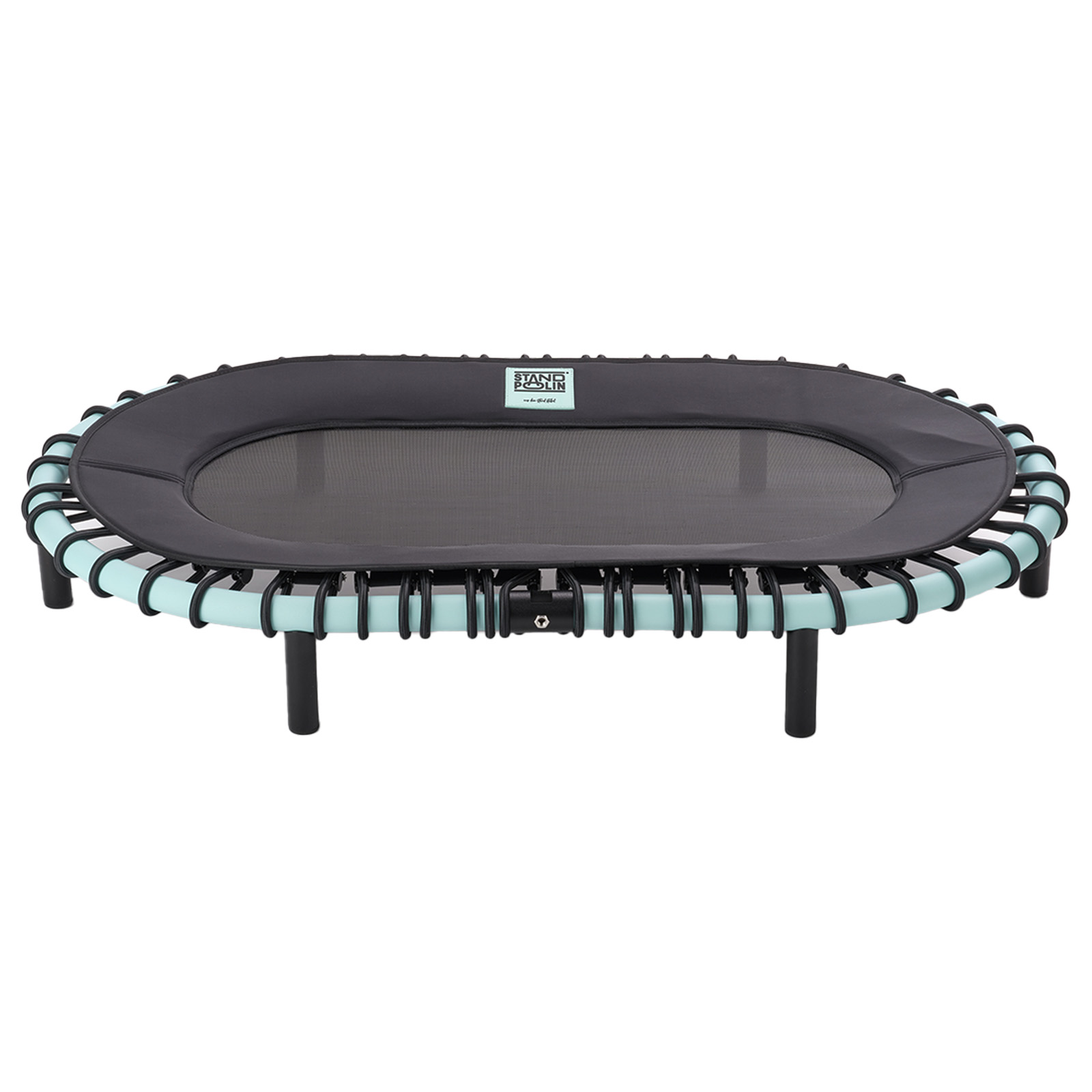 Standpolin Standard Balance Board (Farbe: Aqua)