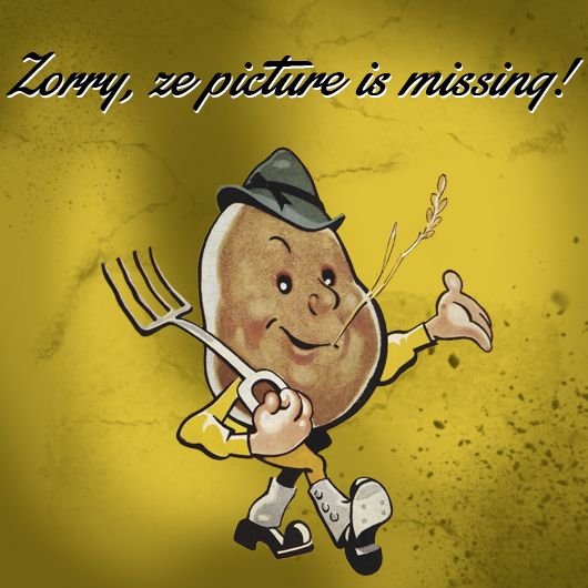 Heckler & Koch MR Spannhülse für Drücker Forward Assist Gehäuse