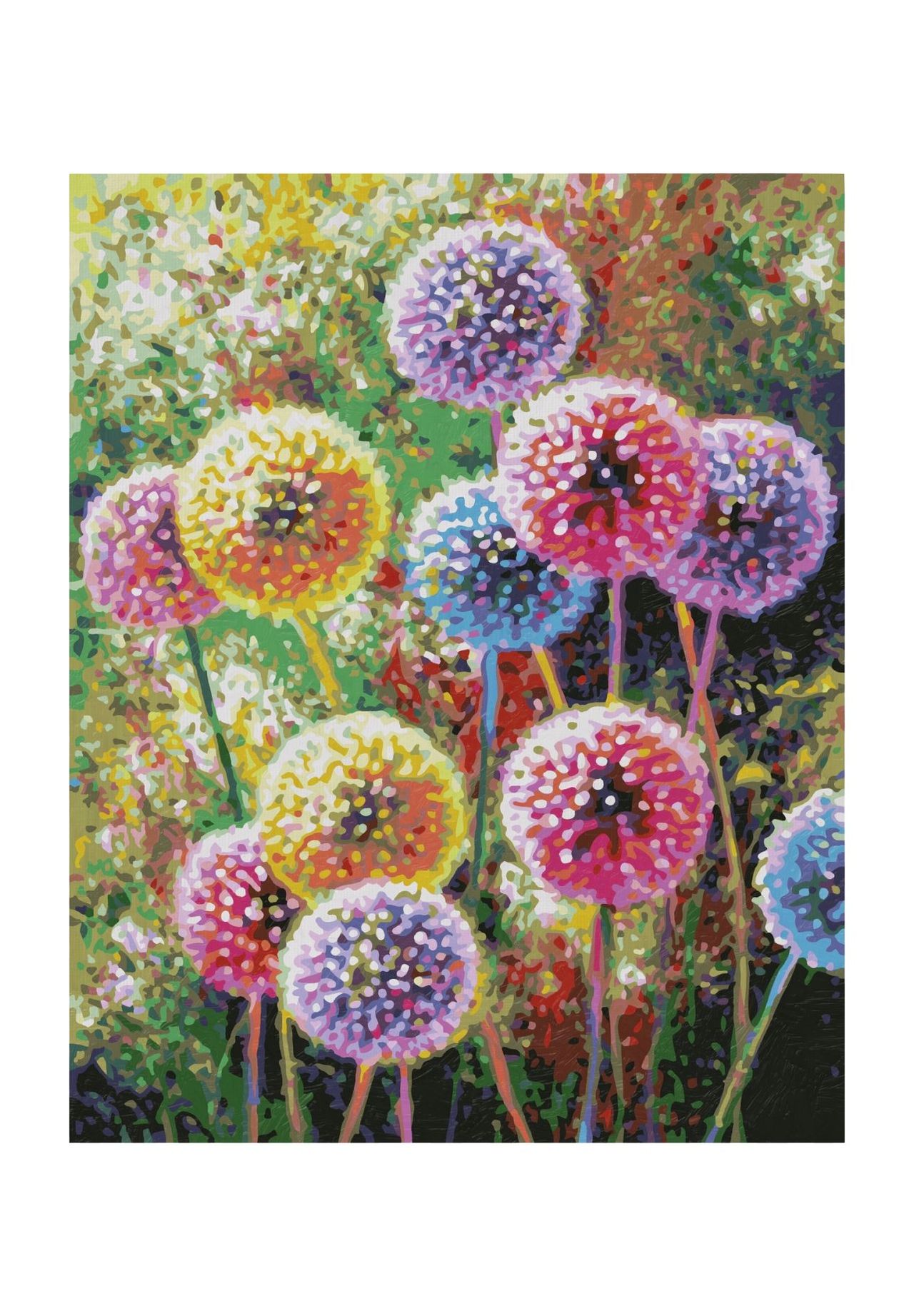 Schipper Malen Nach Zahlen - Blütenfeuerwerk, MEHRFARBIG