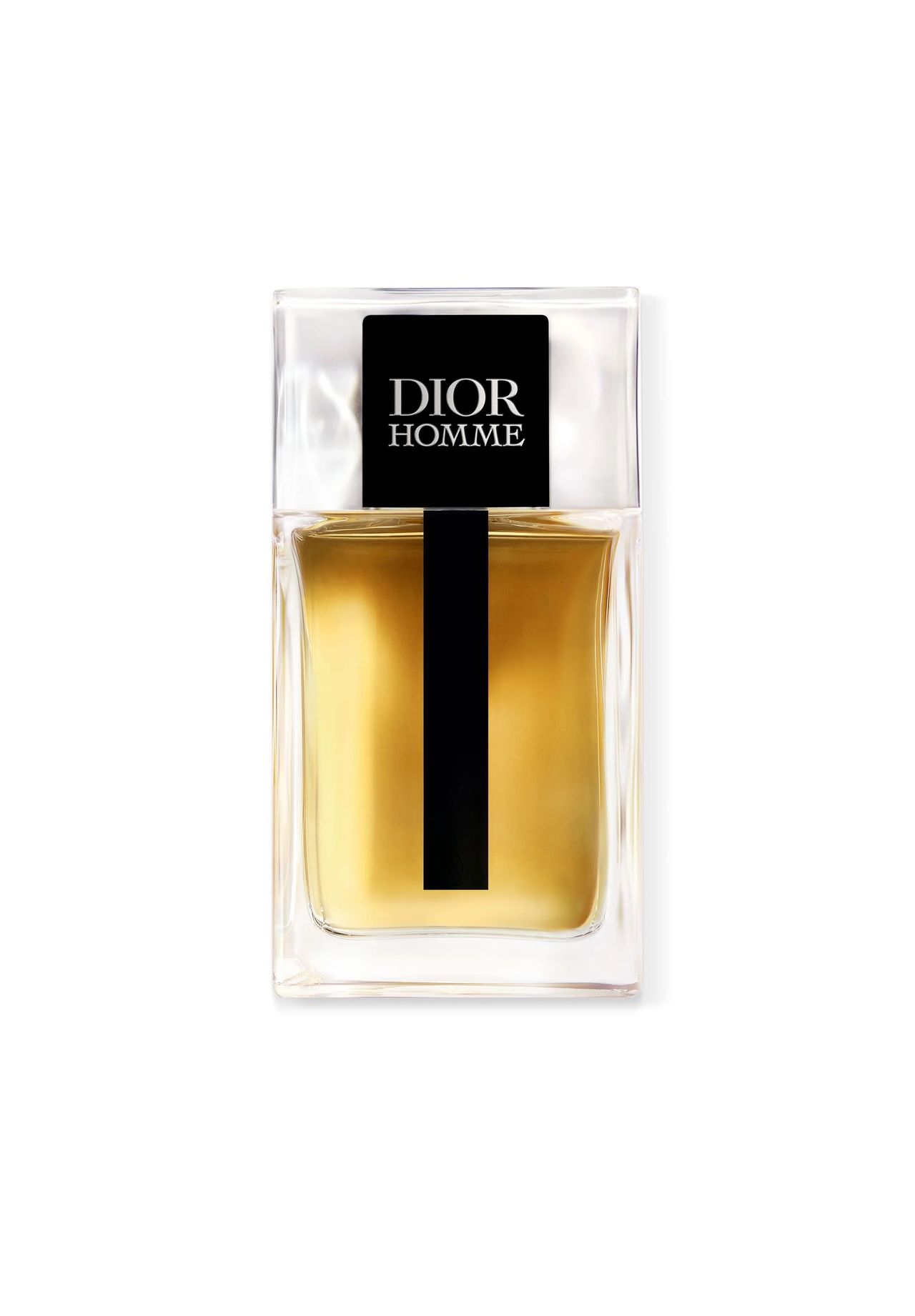 Dior Homme, Eau de Toilette, Herren, Holzig|Frisch, DUMMY, 100