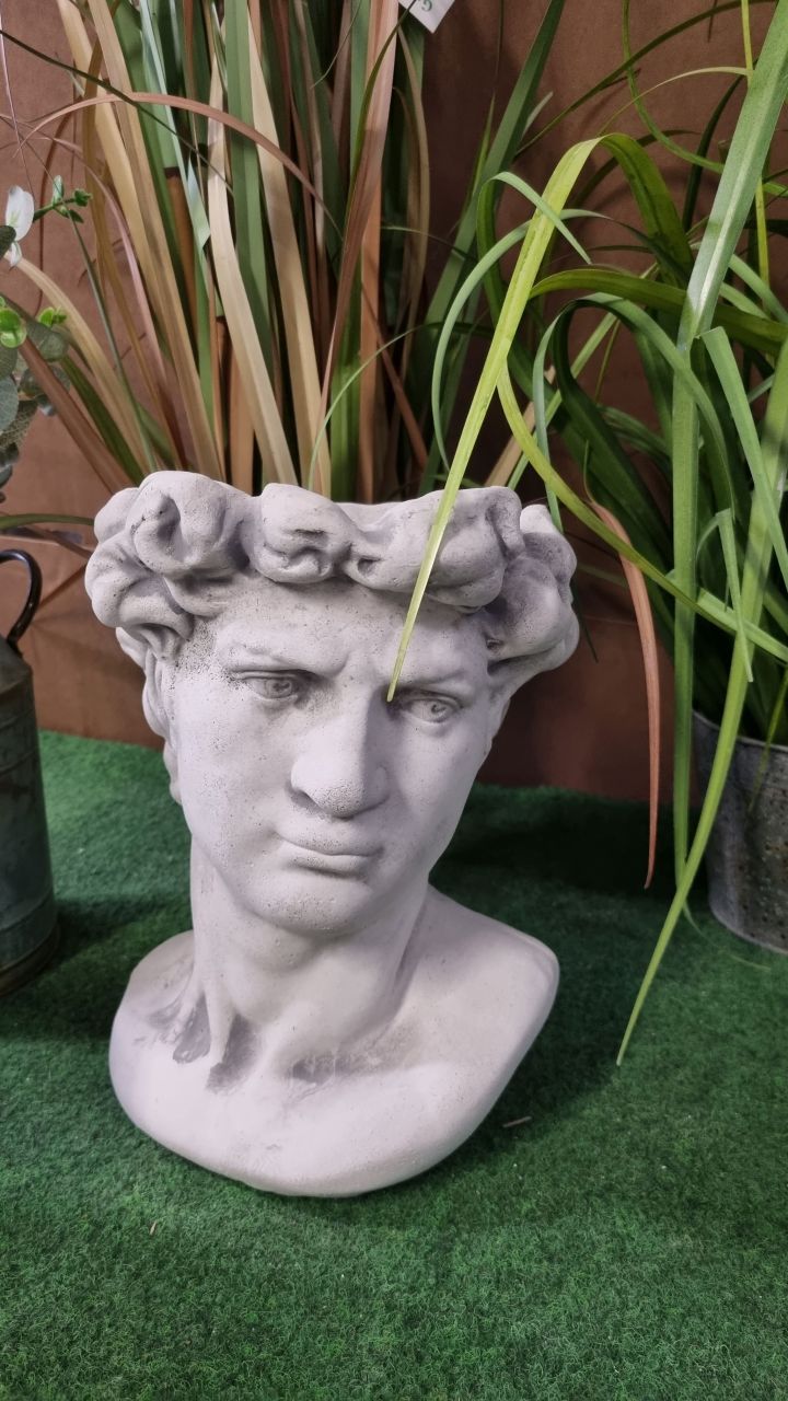 Büste 'David' zum bepflanzen, antik grau