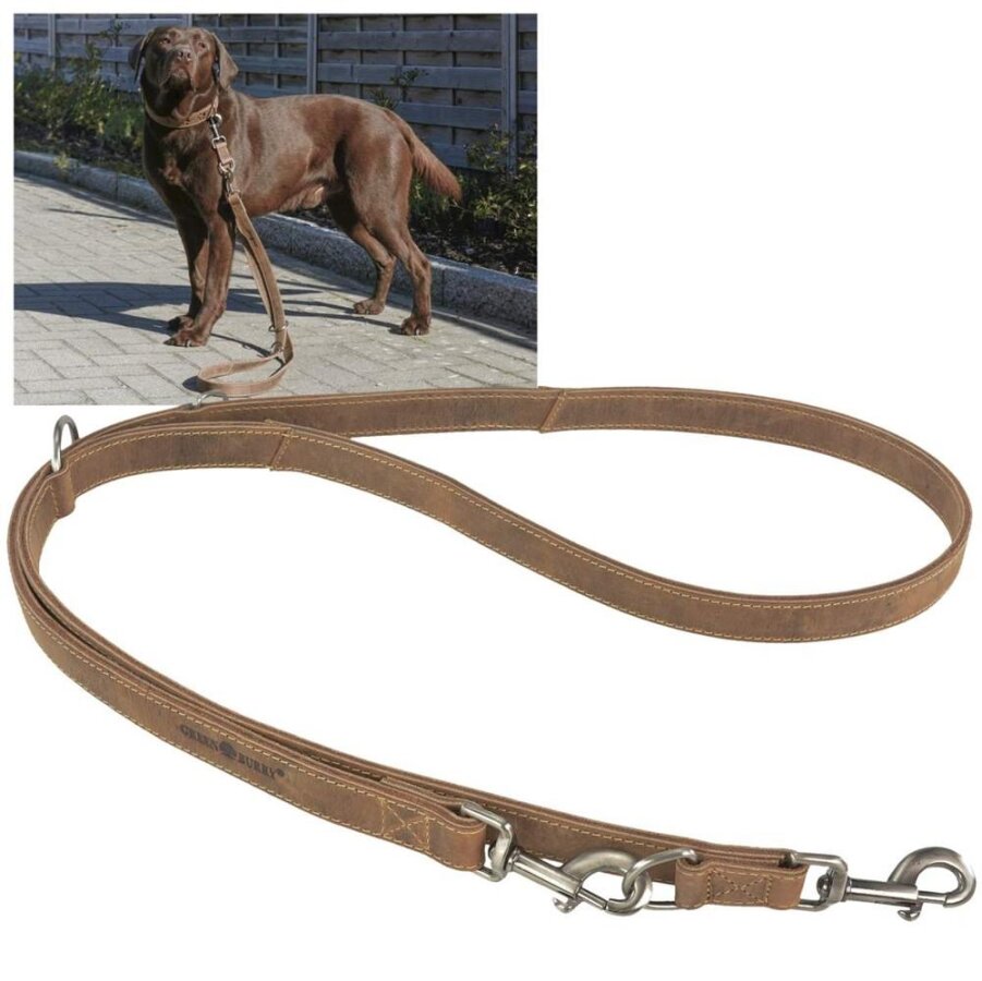 Hundeleine Leder antikbraun 3-fach verstellbar 190cm | Greenburry Vintage Original Führleine für Hunde Outdoor 1602-25