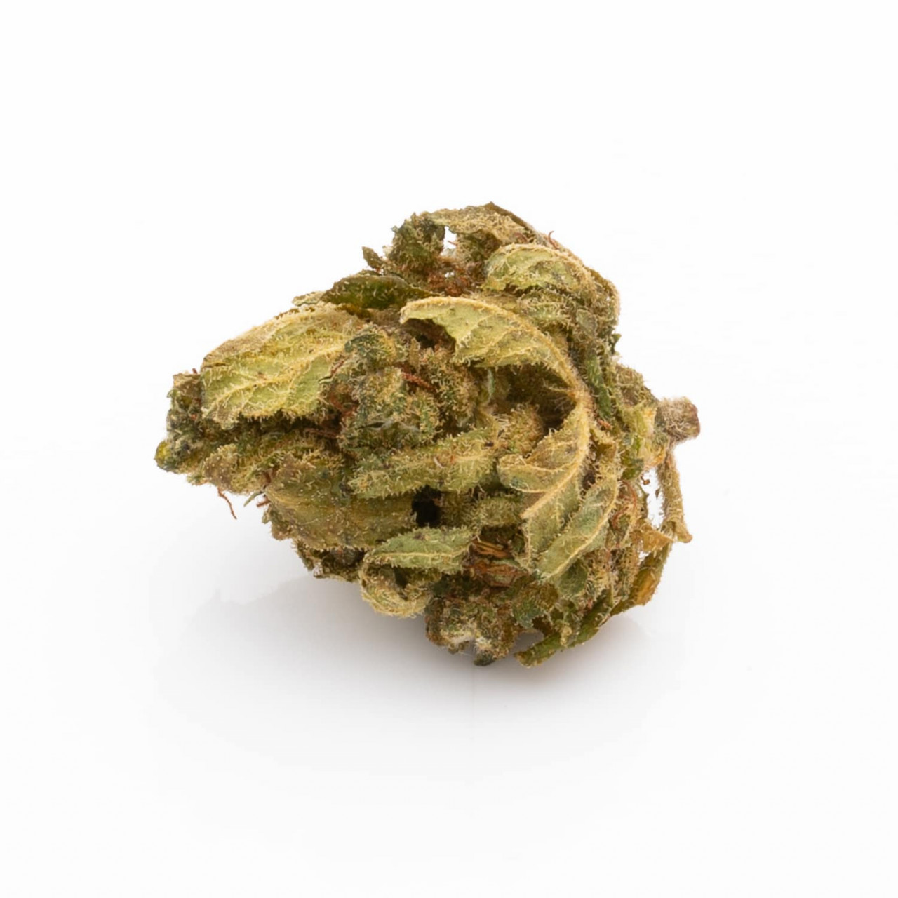 CBD Blüten Premium Jack Herer 6g