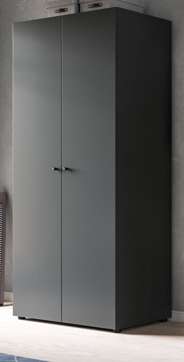 Kleiderschrank 2-türig Carter in grau 80 x 176 cm