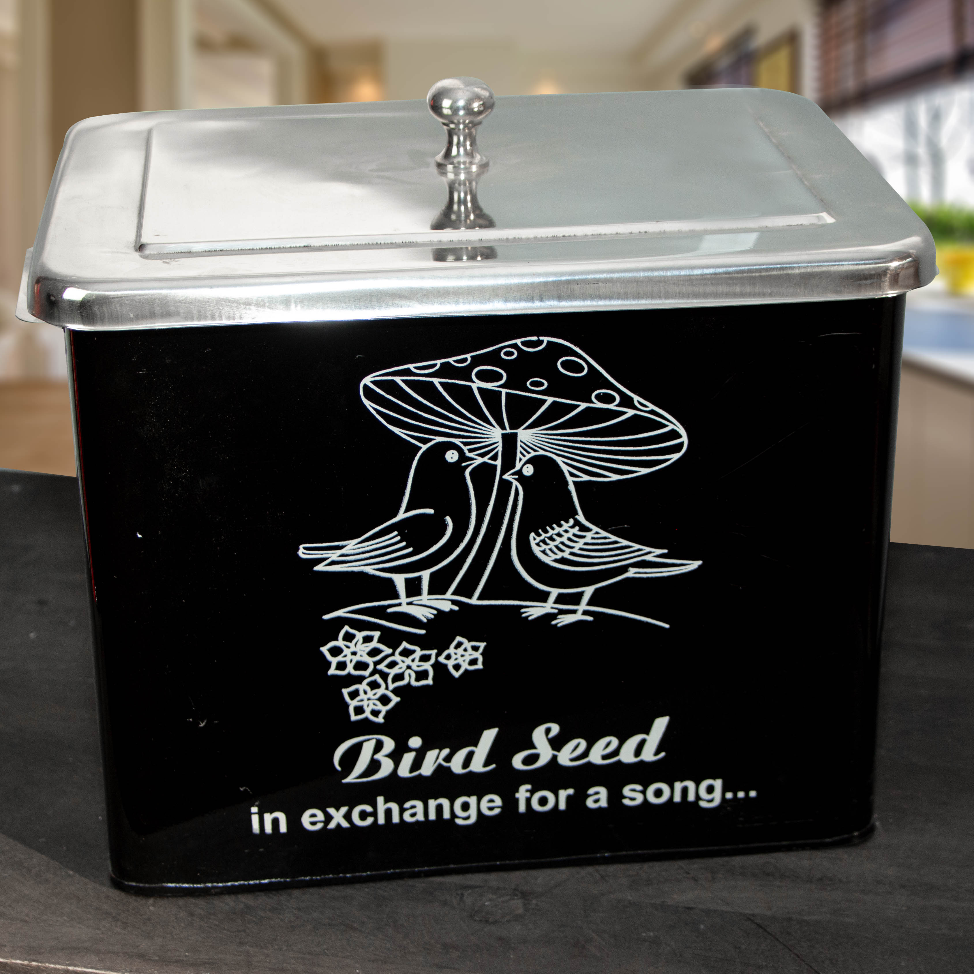Aufbewahrungsdose, Vogelfutter, rechteckig, Schwarz, Eisen, Dose, Dekoration
