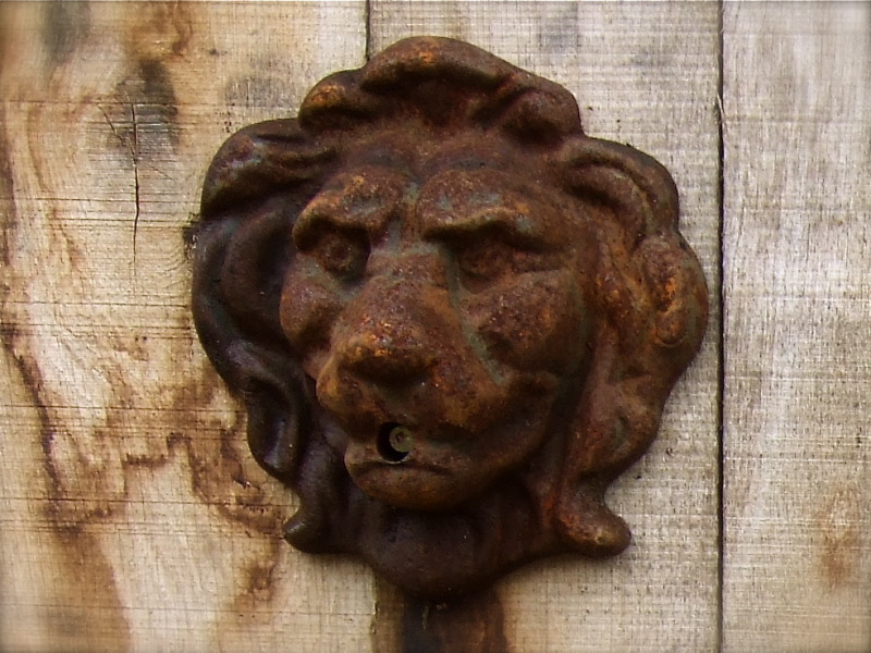 Löwenkopf Wasser Auslauf für Wandbrunnen - Brunnen - Dekoration Wand Speier