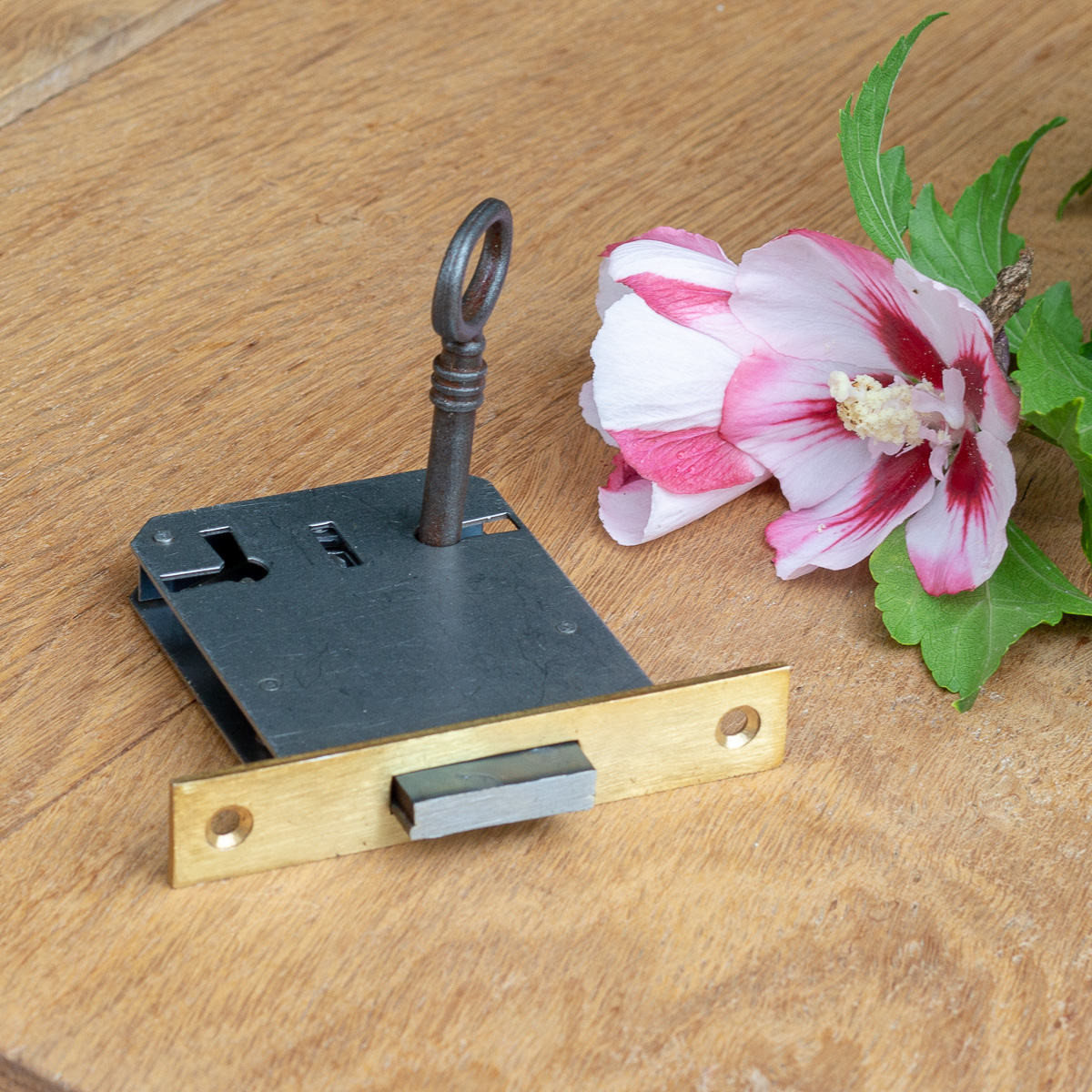 Möbelschloss mit Eisenschlüssel, Einsteckschloss mit Messingstulpe Dorn 50 R/L