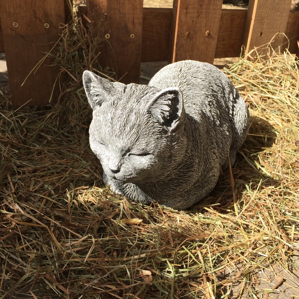 Fensterbank Dekoration Katzen - Kleine Katze - verschmustes Kätzchen, frostfest