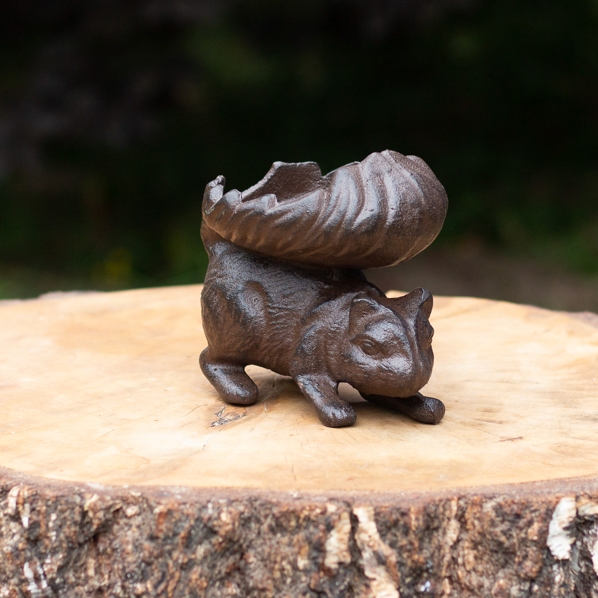 Schale als Futterstelle, Nussschale als Eichhörnchen, Futterstation, Gartendeko