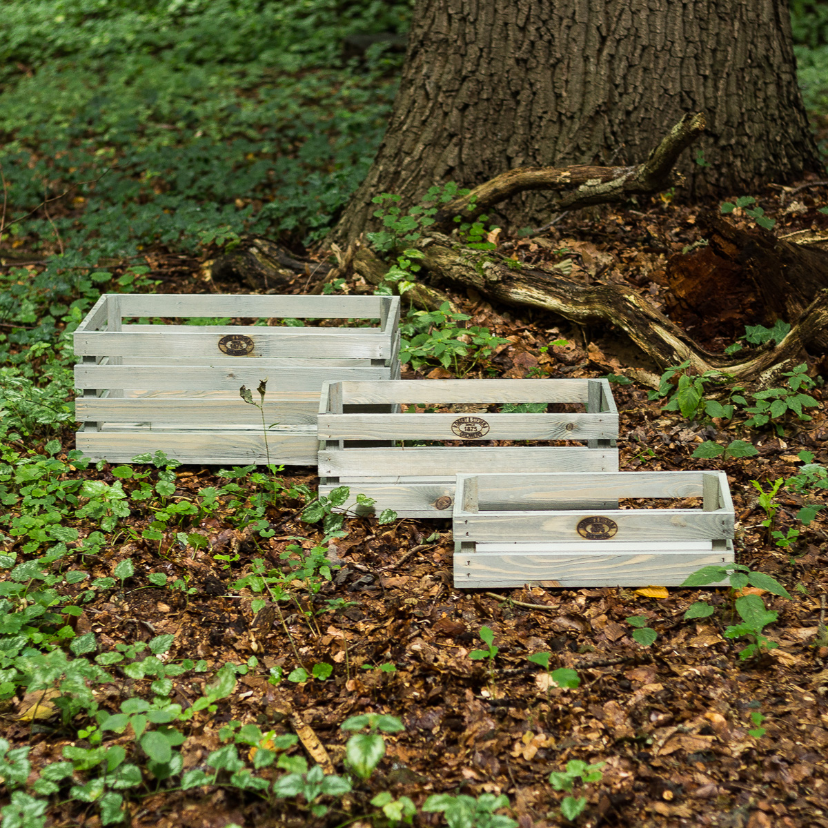 Nostaligsche Stapelkisten Natur Used Look 3er Set Kisten Obst Gemüse Übertopf