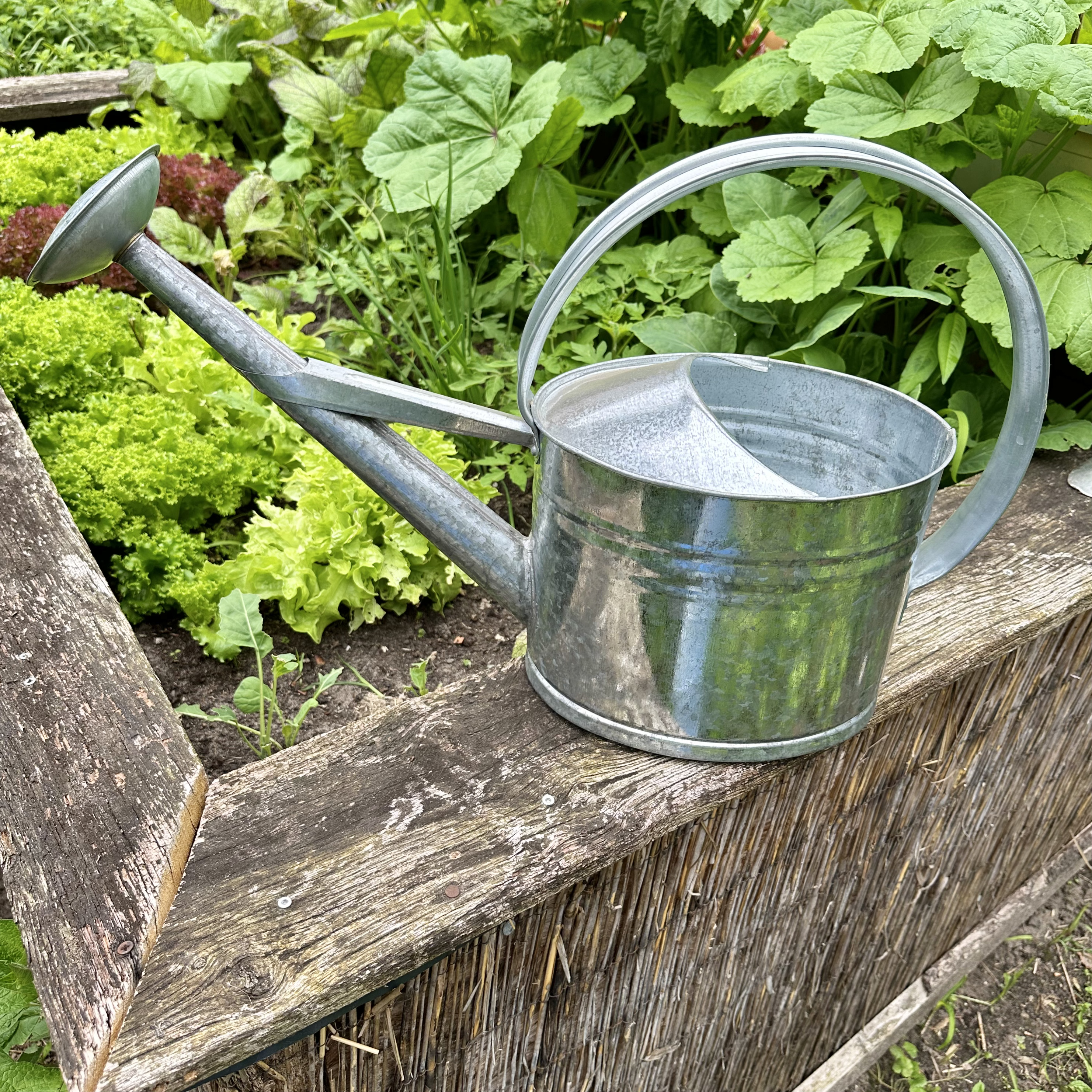Gießkanne aus Altzink, M, Silber, Deko-Kanne