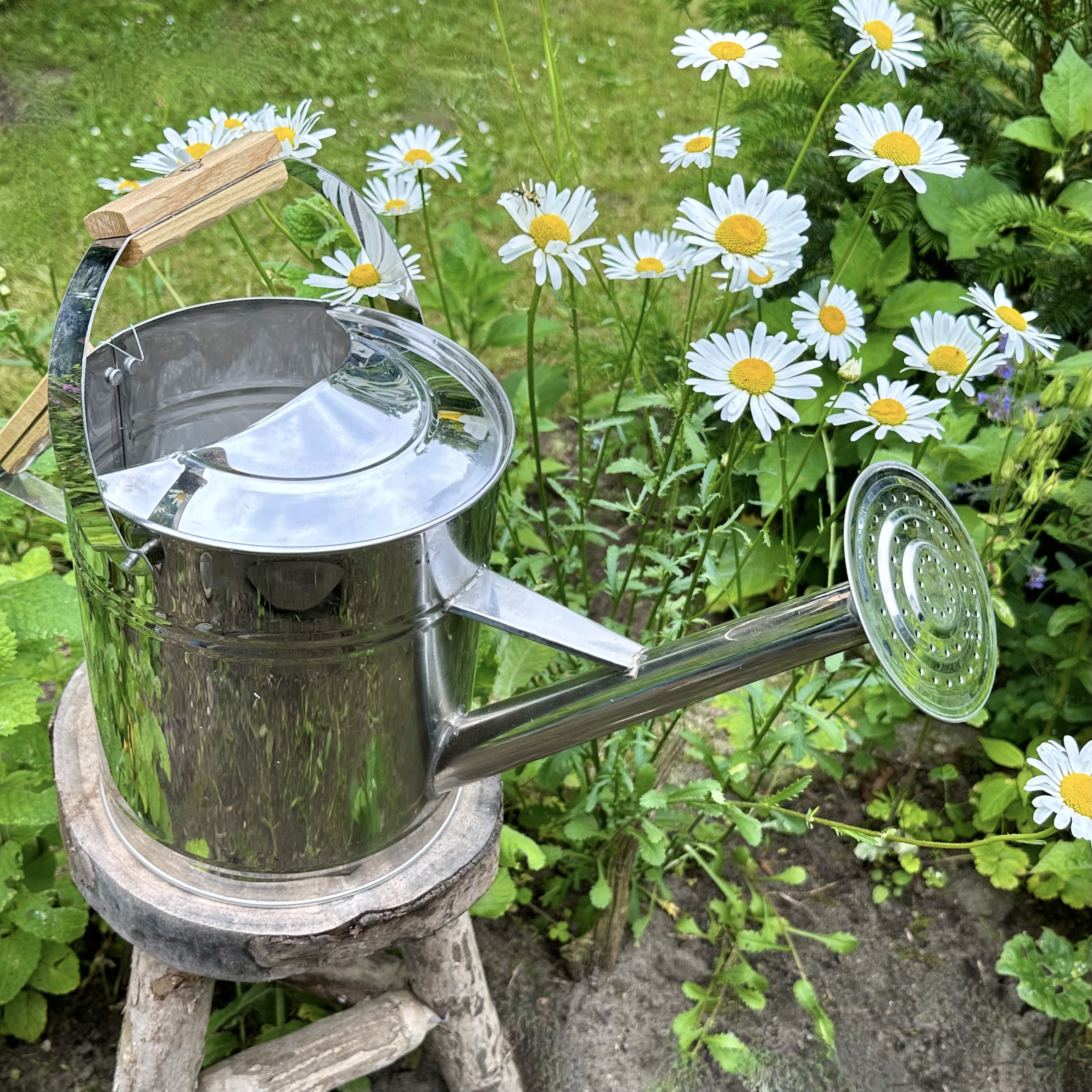 Gießkanne aus Edelstahl, Silber, Deko-Kanne, Blumenbeet