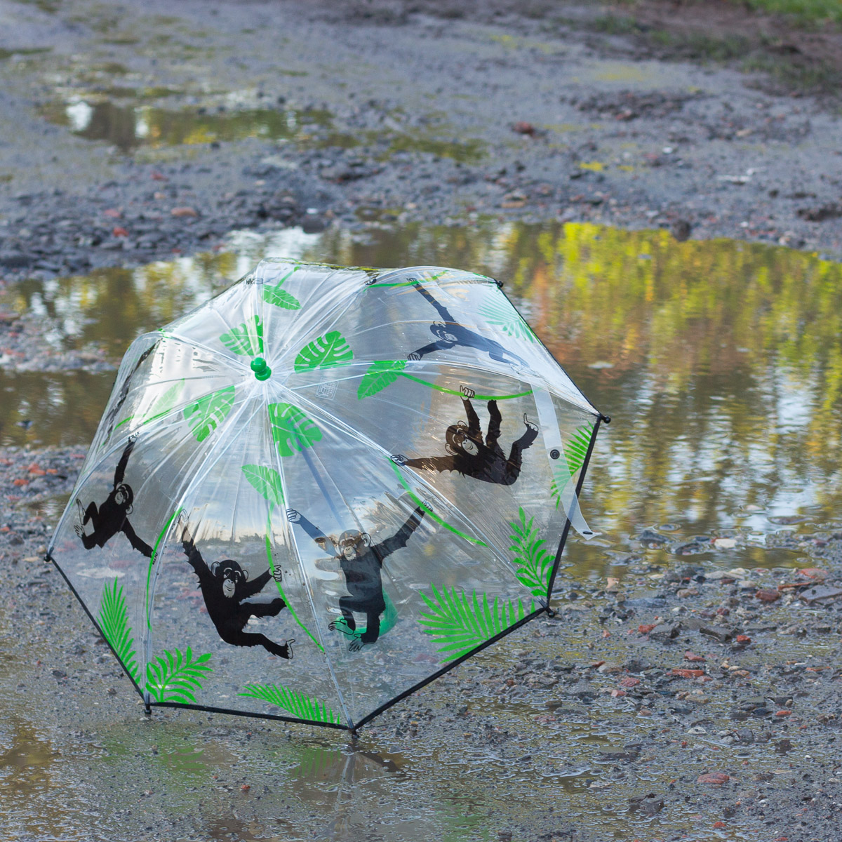 Kinderregenschirm mit Affenmotiv, Schirm für Kinder, Regenschirm Schimpansen