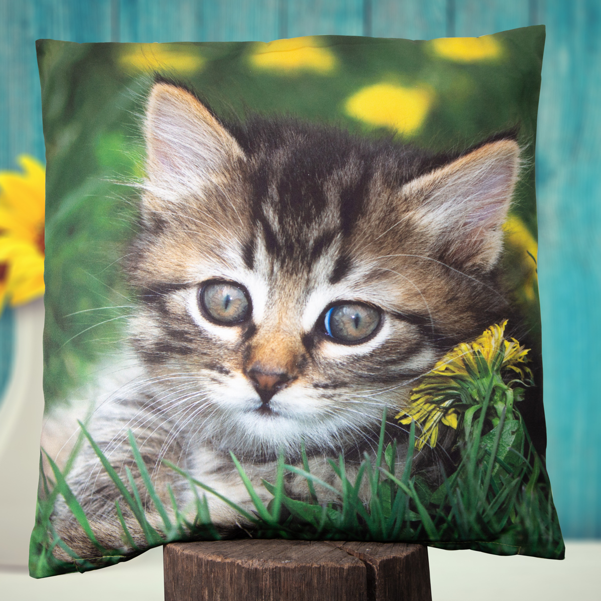 Kissen, Polyester, Groß, grün, Babykatze