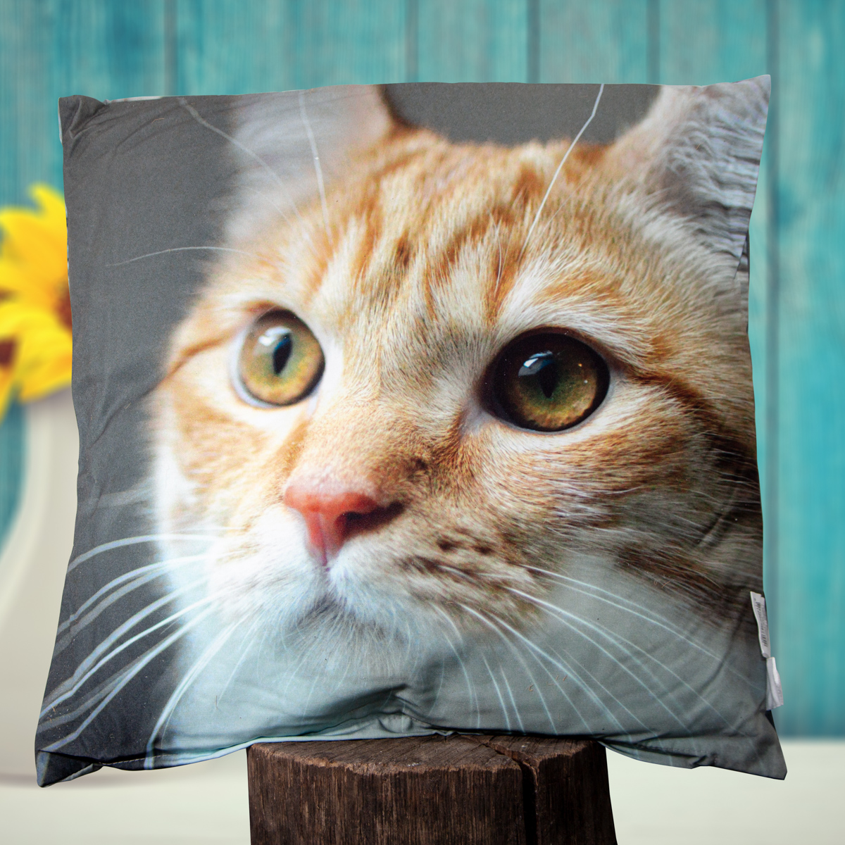 Kissen, Polyester, Groß, beige, Rote Katze