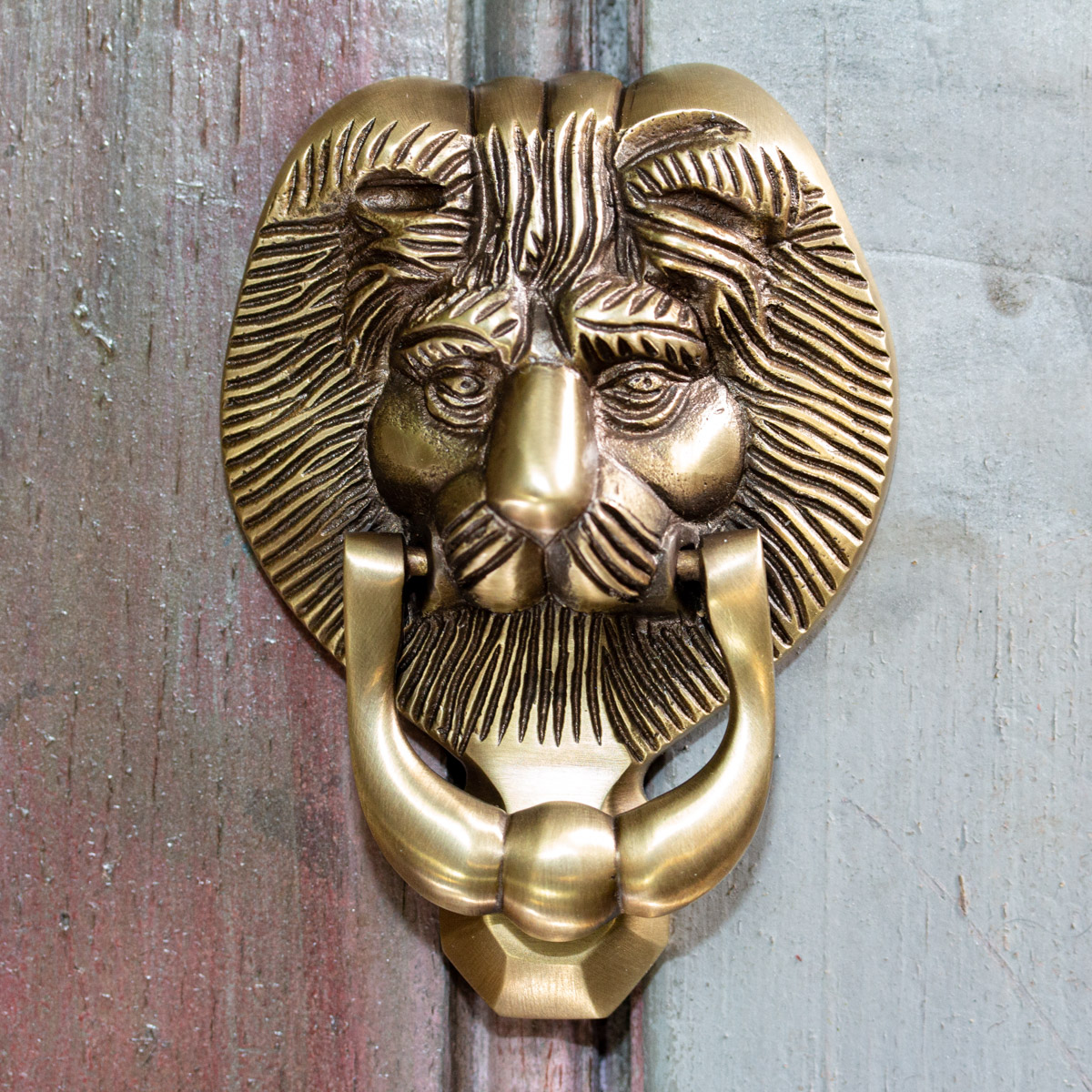 Türklopfer Messing Löwe - Haustür Klopfer Tür Klopper wie antik