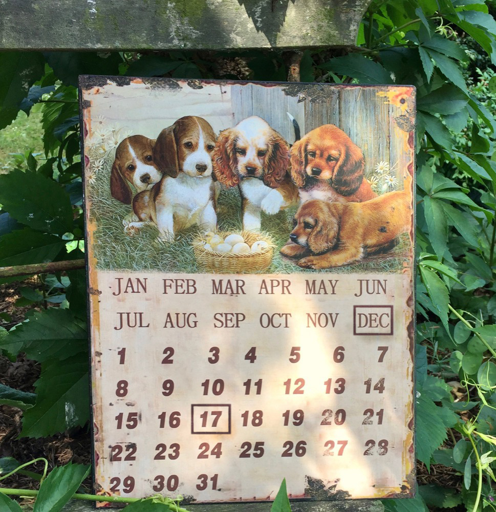 Blechschild Vintage Kalender Metall Küchenkalender - niedliche Hunde Bild Küche