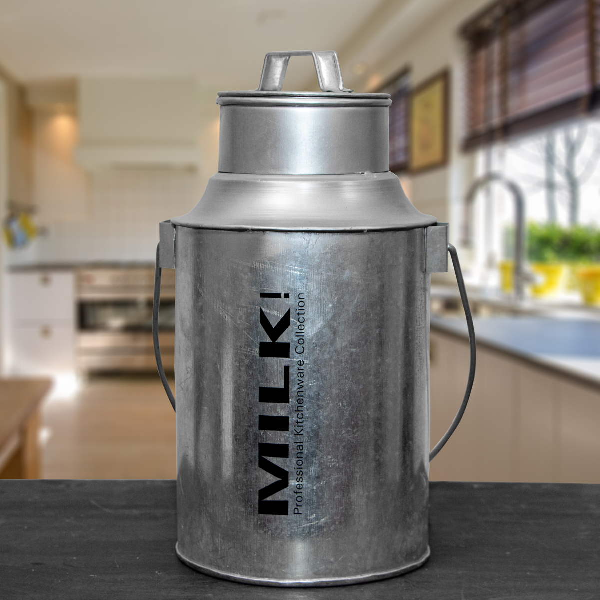 Milchkanne aus Zink, Blumenvase Zinkkanne, Blechkanne als Gartendeko-Landhaus