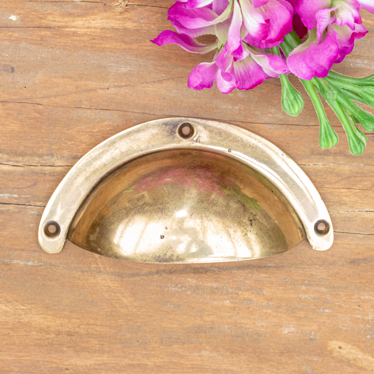 Muschelgriff, Glatt, Rund | Messing, gold | H4,8xB9,8cm