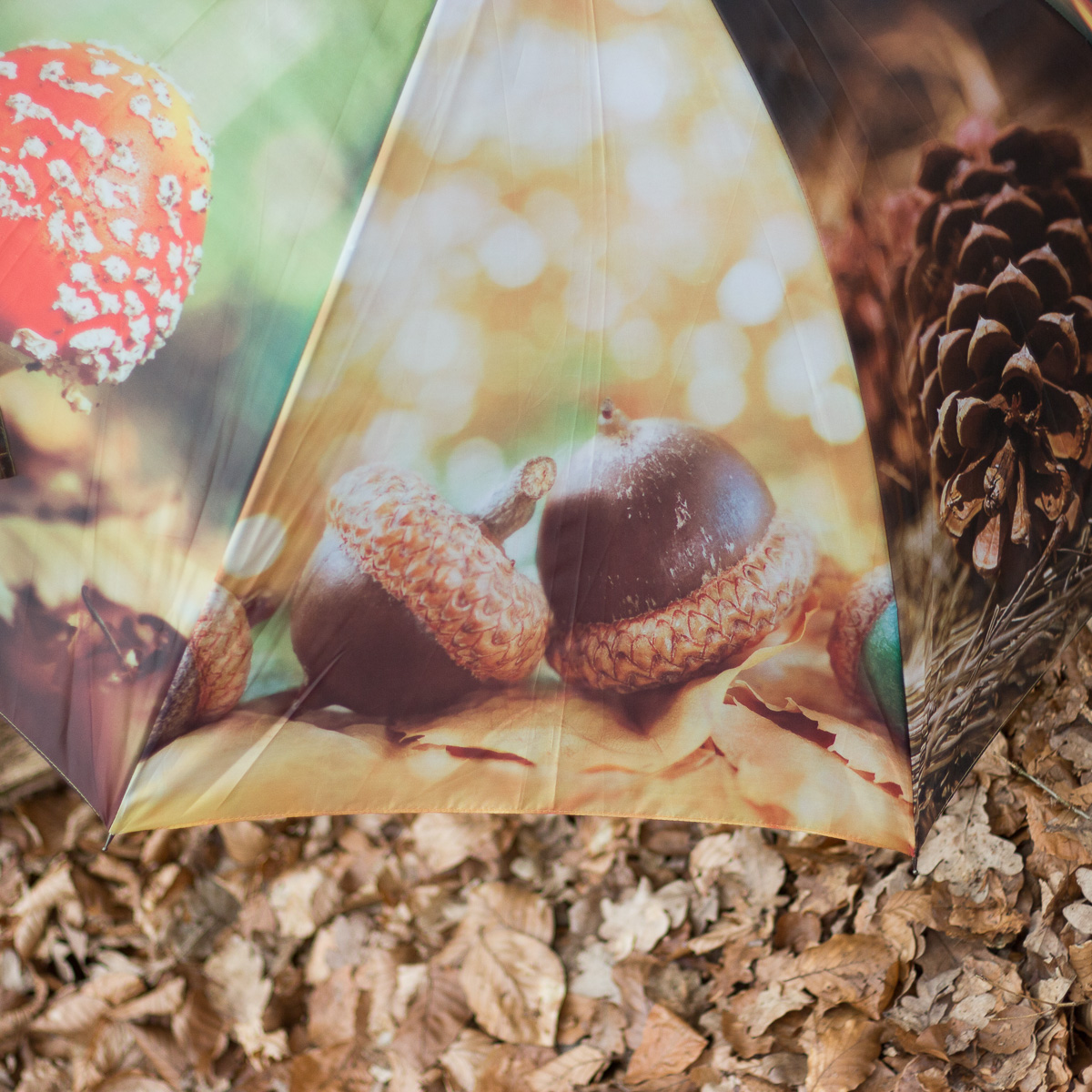 Regenschirm mit farbenprächtigem Herbstmotive, Stockschirm mit Öffnungsautomatik
