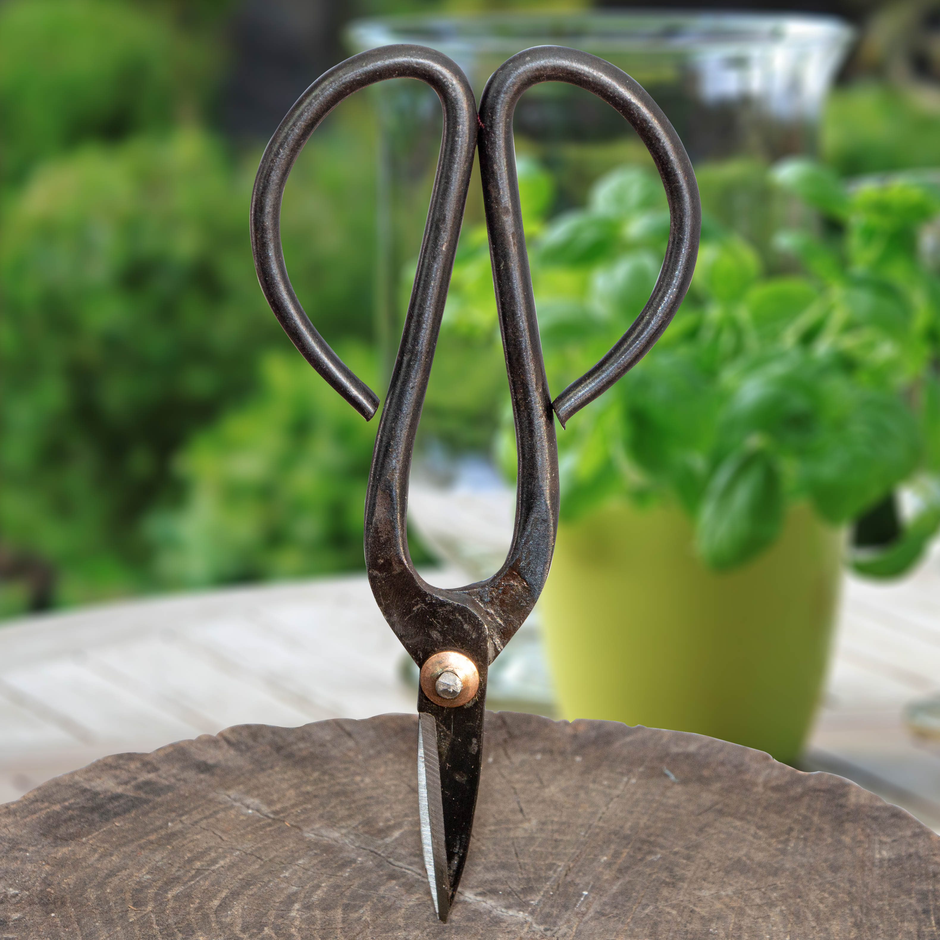 Bonzaischere, Gusseisen, Braun, Garten
