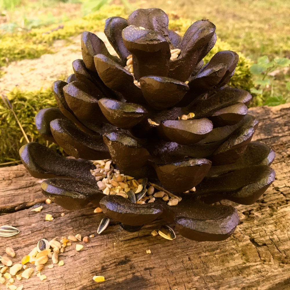 Tannenzapfen als Futterstelle für Eichhörnchen + Vögel, Tisch Dekoration Garten