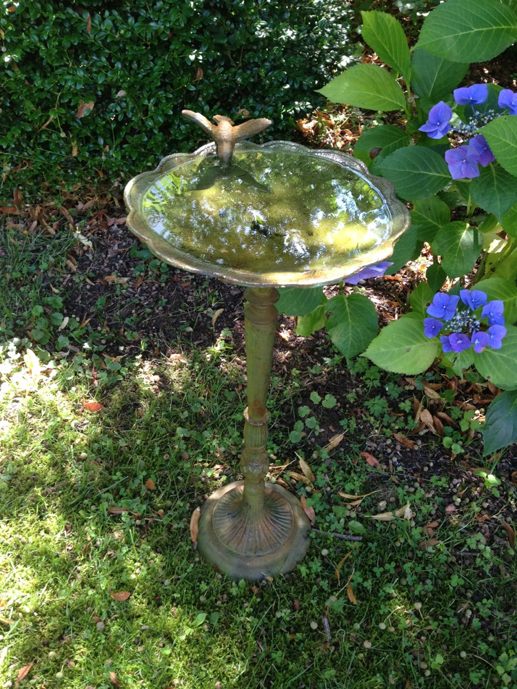 Vogeltränke, mit trinkendem Kolibri, Futter-Schale |Eisen grün |H56,0xB27,0cm