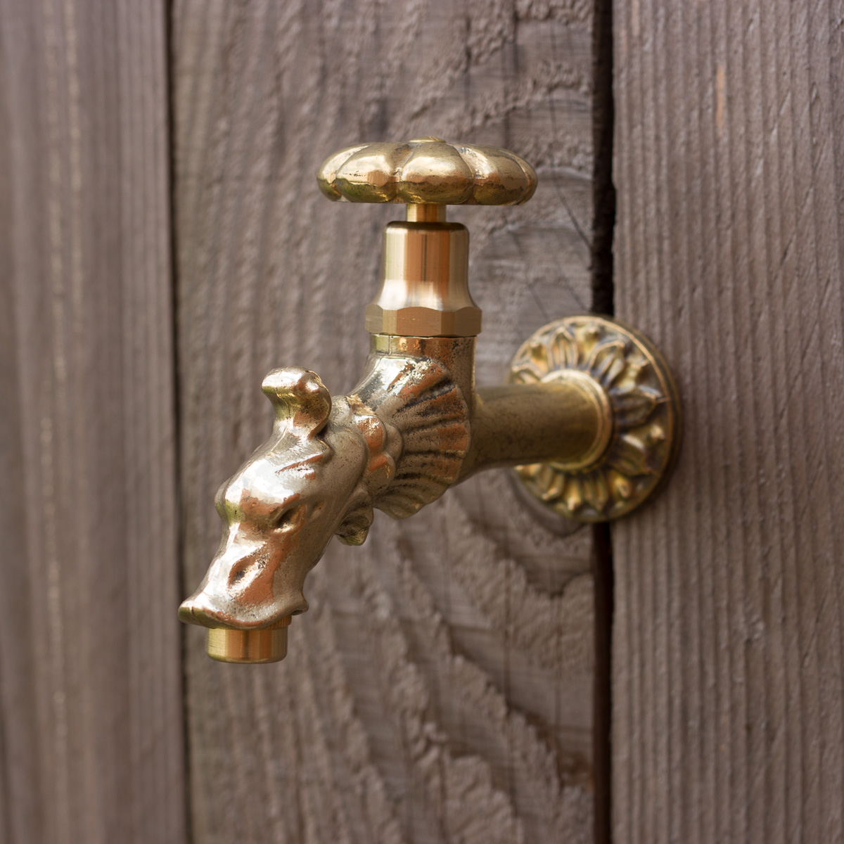 Wasserhahn für Brunnen, Wasserspeier Drachenkopf aus Messing, Nostalgie pur 1/2'