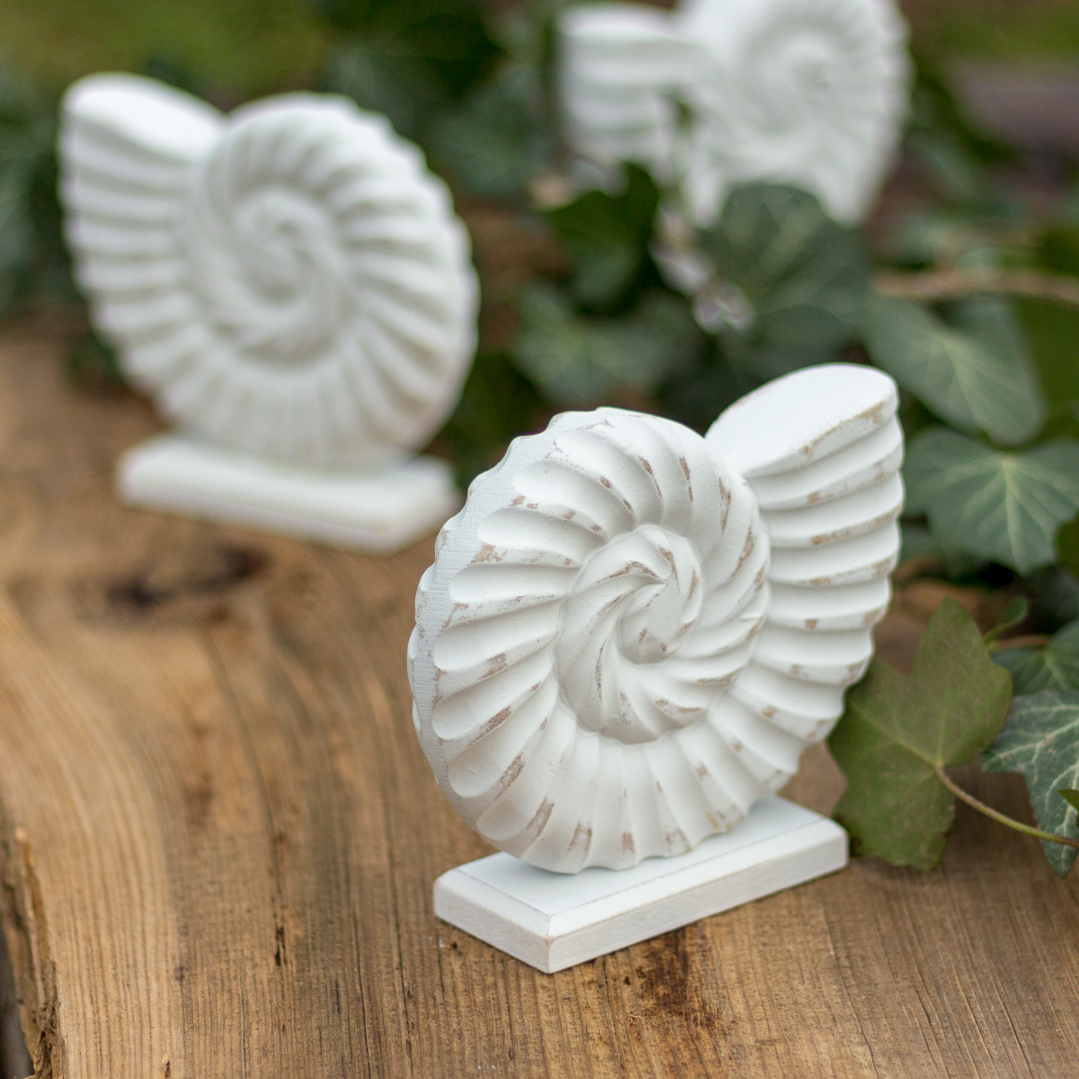 Eine Muschel aus Holz, Ammonit für dekorative Zwecke MDF Deko | H 12,5 x B 4,0 cm