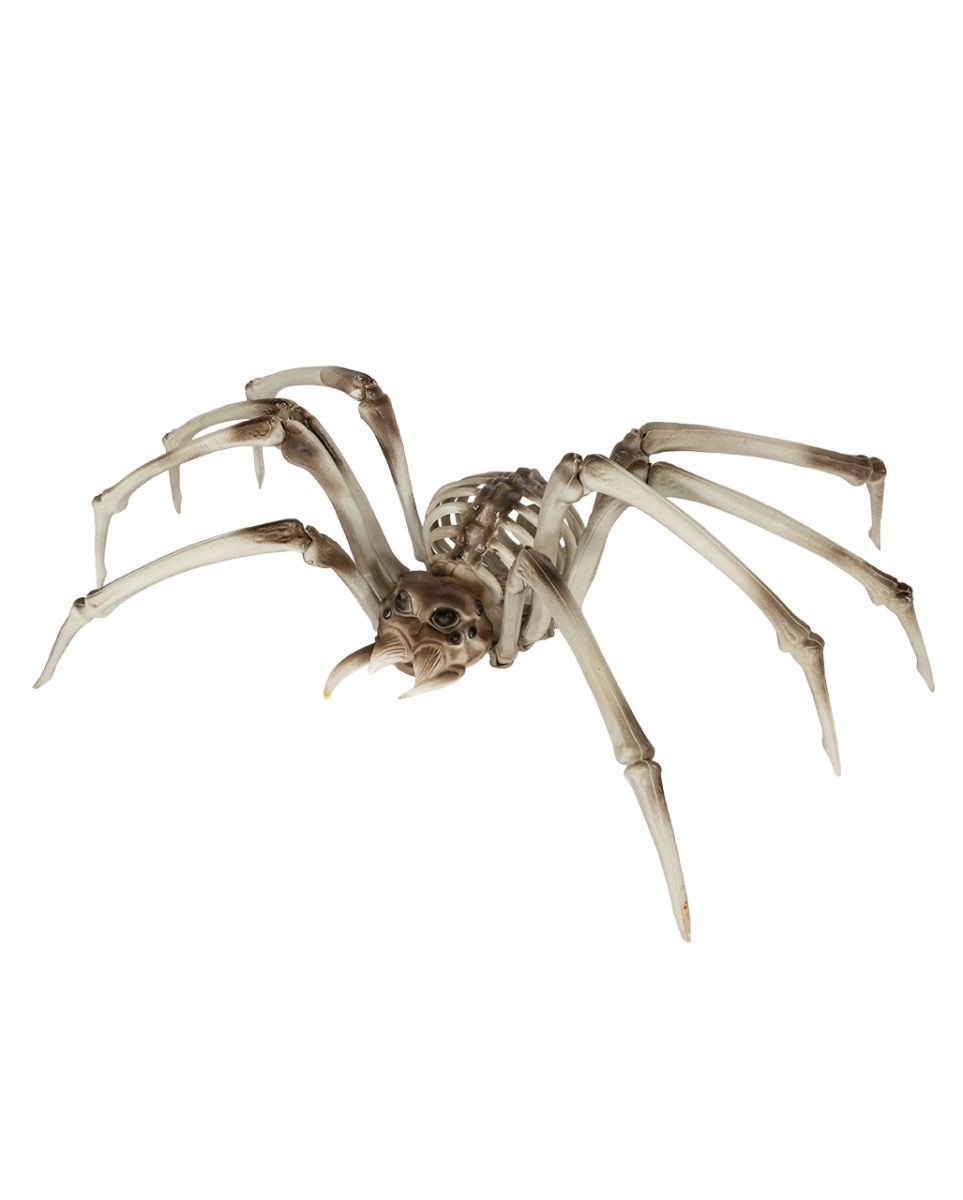 Gigantische Skelett Spinne als Halloween Deko 82cm